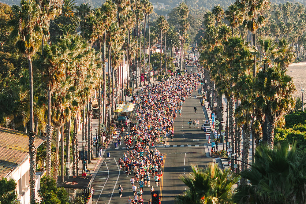 Santa Barbara Half Marathon runners on palm-lined Cabrillo Boulevard